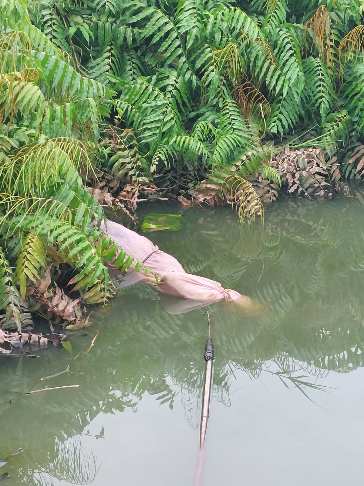 Identitas Mayat di Gg Wajib Senyum Terungkap, Ternyata Masih Usia 13 Tahun