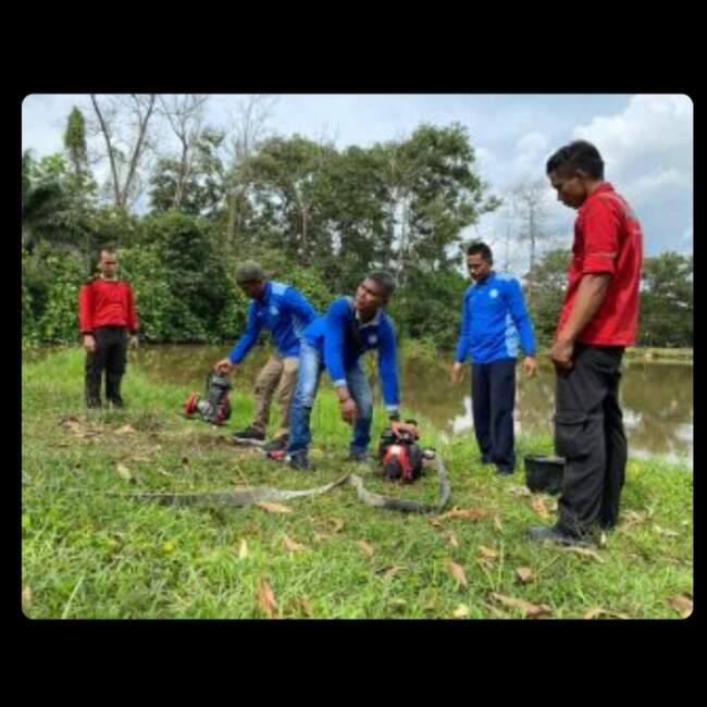 Program Desa Bebas Api RAPP Sebagai Model Konservasi Berkelanjutan