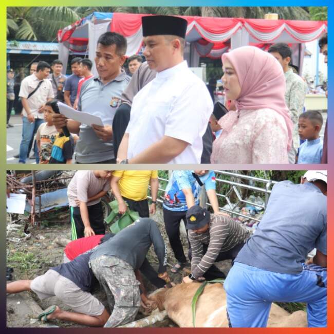 Polres Pelalawan Bagikan 12 Ekor Sapi Qurban, Wujud Kepedulian Terhadap Masyarakat