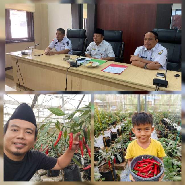 Kabar Baik, Kabupaten Pelalawan Dengan Inflasi Terendah se Propinsi Riau