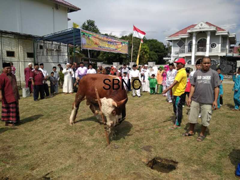 DPD II GOLKAR Pelalawan Bantu Warga sekitar Kantornya 220 kg lebih Daging Kurban