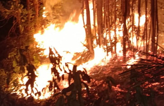 Lagi-lagi Lahan Terus Terbakar, Malam ini Amukan Api di Desa Tambak