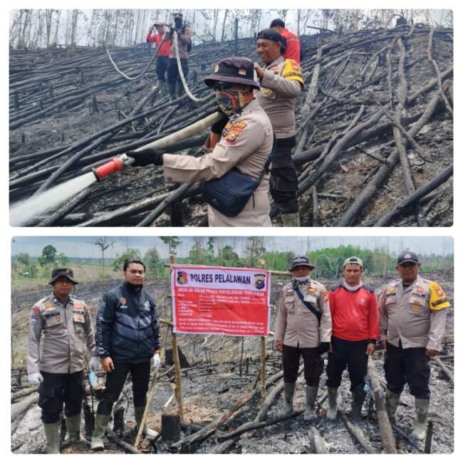 Kapolres Pelalawan Akan Usut Tuntas Pelaku Karhutla di Kawasan TNTN