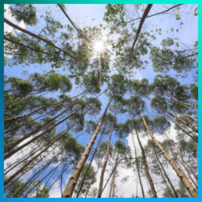 Deadline Diperpanjang Hingga 10 Mei, Masih Ada Waktu untuk Ikut AJAA 2025