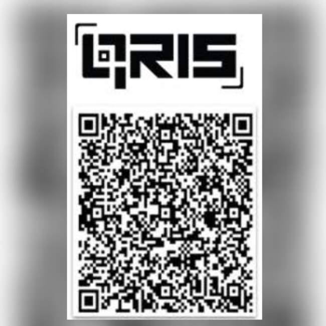 QRIS Tembus Asia, Gibran: Bukti RI Produsen Teknologi Digital