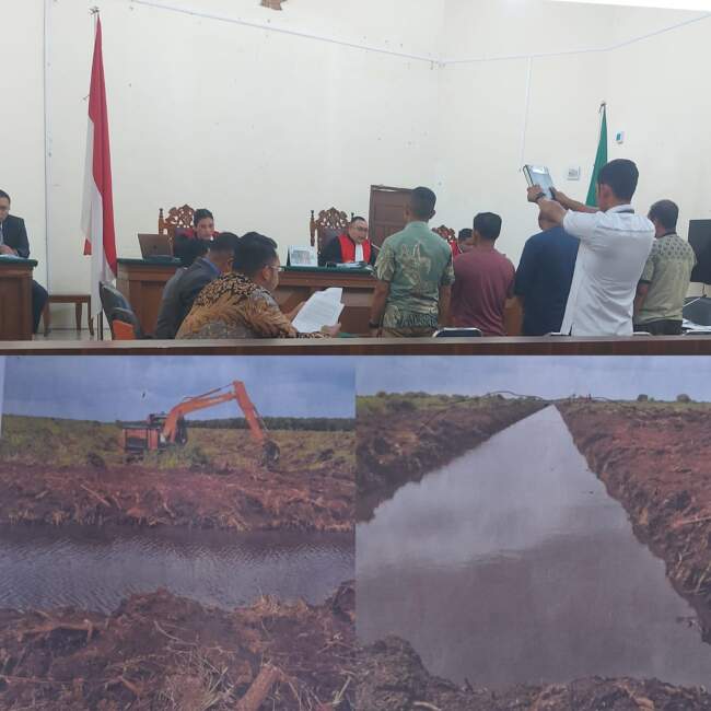 Sidang Sengketa Lahan Rp 5 Miliar: Enam Warga Gugat PT Arara Abadi di PN Pelalawan